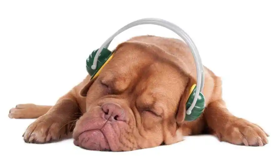 Is it bad to wear noise cancelling headphones while sleeping Is it bad to wear noise cancelling headphones while sleeping